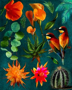 Tropical Birds and Blooms