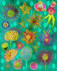 Vibrant Botanical Garden