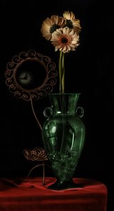 Gerbera Still Life by jlloydphoto