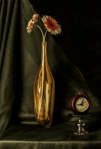 Golden Gerbera Still Life by jlloydphoto