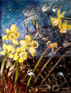 Wild daffodils by jocasta shakespeare
