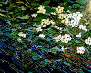 Flowers in Stream