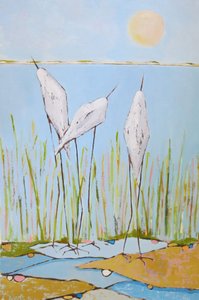 Serene Marsh Birds