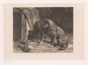 Two Dogs by a Rat Trap