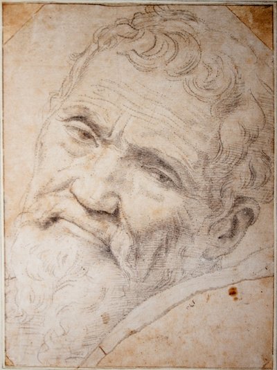 Portrait of Michelangelo Buonarroti by Daniele da  Volterra