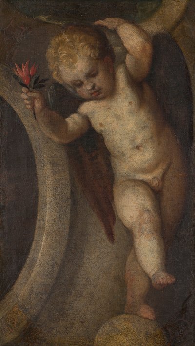 Putto with a Red Flower by Veronese