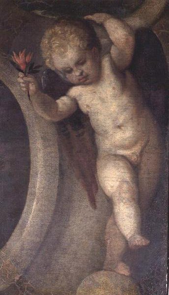 Putto with a Red Flower by Veronese