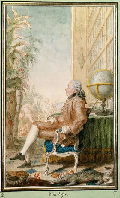 Portrait of Georges-Louis Leclerc, Count of Buffon by Carmontelle