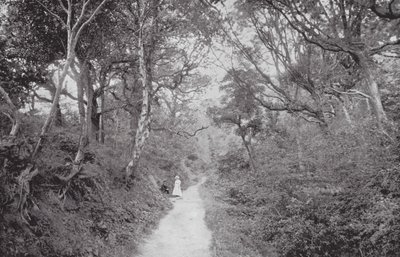 Fairlight Glen by (after) English photographer