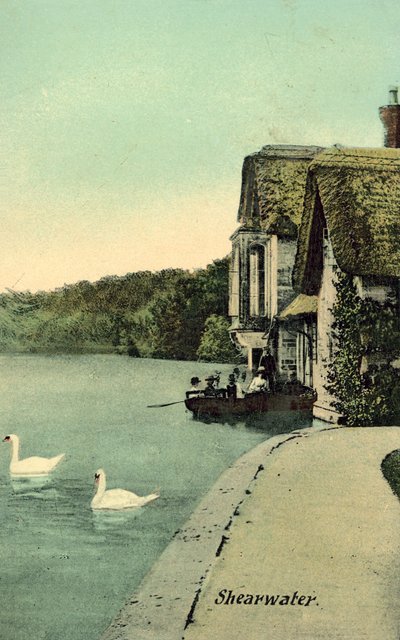 Shearwater by (after) English photographer