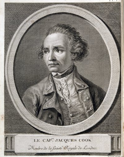 Captain James Cook, Member of the Royal Society of London by (after) French School