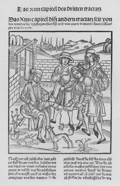 The Book of Cirurgia by Hieronymus Brunschwig by (after) German School