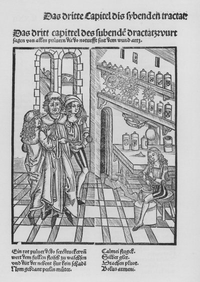 The Book of Cirurgia by Hieronymus Brunschwig by (after) German School