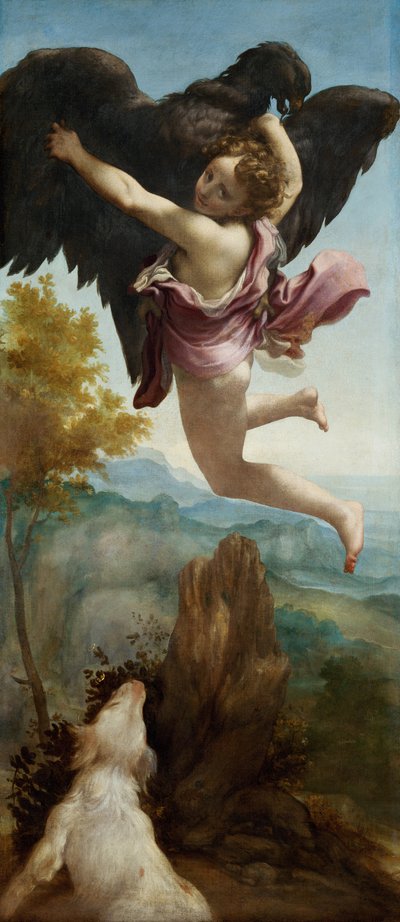 The Abduction of Ganymede by (c.1489 1534) Correggio