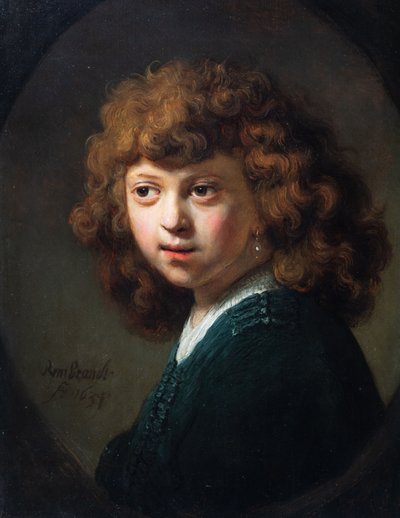 Portrait of a Boy by (studio of) Rembrandt Harmensz. van Rijn