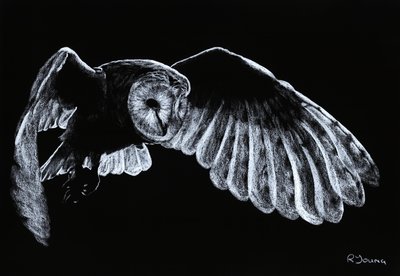  by Richard Young
