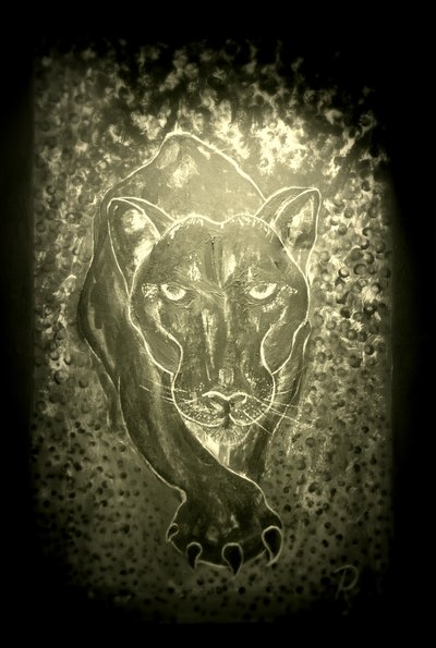 The panther - grey by RosaLi