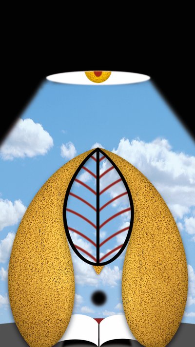 Der Lesemeister oder das nachdenkliche Licht by Alexander Eibach