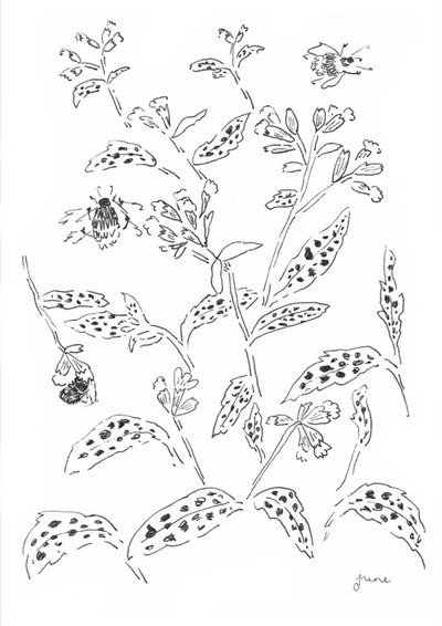 Bumblebee and Wildflower Study by june art
