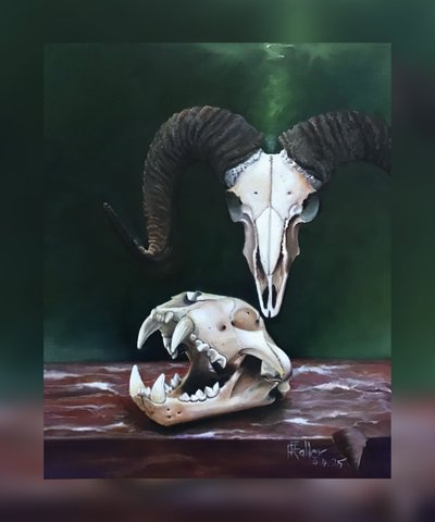 Memento Mori (Study of Animal Skulls) by Faller Rüdiger - Tician
