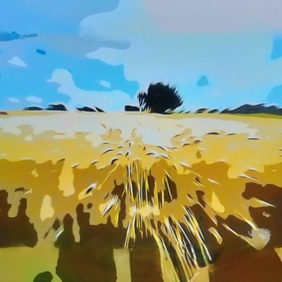 Digital Landscape 12 by M. Vet