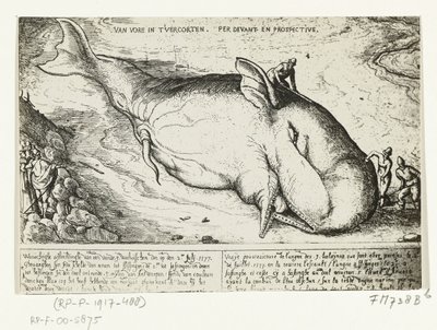Print of the Stranded Whale at Antwerp, July 2, 1577 by A.B. van Deinse