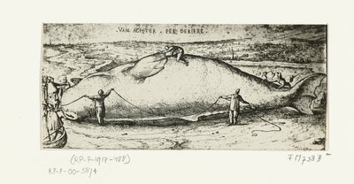 Print of the Stranded Whale near Antwerp, July 2, 1577 by A.B. van Deinse