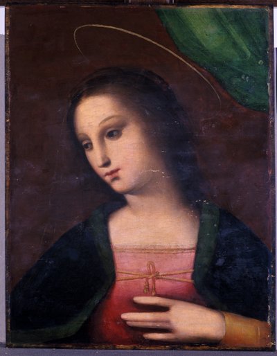 Portrait of Mary by A. 1485 c.1525 Piccinelli