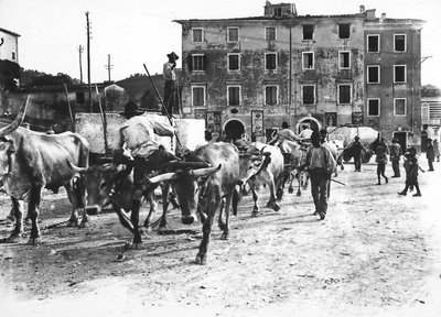 Carrara: oxen transport large blocks of marble coming from the Apuan quarries to a workshop or the studio of some sculptor by A. Corsini