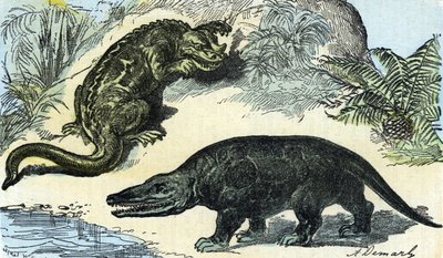 Prehistory: representation of an iguanodon and megalosaur from the Cretaceous period by A. Demarle