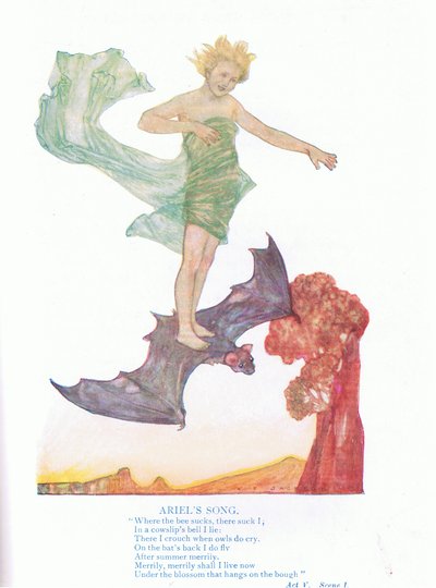 Ariel