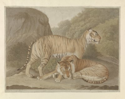 Two Tigers in a Landscape by A. Lutz