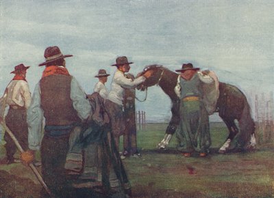 Gauchos Breaking in a Young Horse by A. S. Forrest