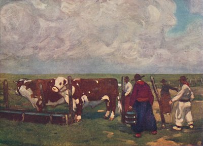 Pedigree Oxen on a Lemco Estancia by A. S. Forrest