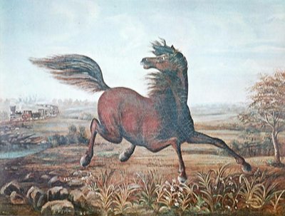 The Neigh of an Iron Horse by A Tapy