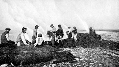 Burning Seaweed for Kelp, Aran Islands, Ireland by A. W. Cutler