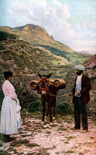 Mule with Water Kegs, Sicily, Italy by A. W. Cutler