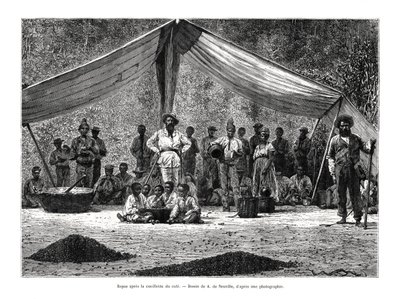 A Meal After the Gathering of Coffee, Brazil by A. de Neuville