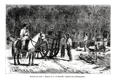 Harvesting the Coffee, Brazil, 19th Century by A. de Neuville