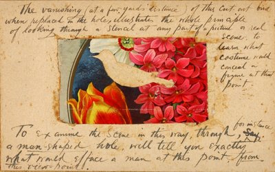 Bird Stencil, study folder for book Concealing Coloration in the Animal Kingdom by Abbott Handerson Thayer