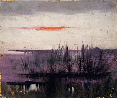 The Sky Simulated by White Flamingoes, study for book, Concealing Coloration in the Animal Kingdom by Abbott Handerson Thayer