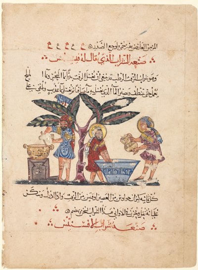 Folio from an Arabic Translation of the Materia Medica of Dioscorides by Abdallah ibn al Fadl (Iraq)
