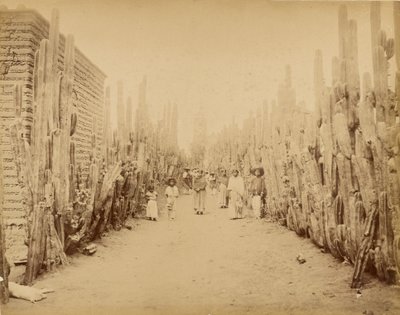 Mexico. Street of Village San Juan, State of Mexico by Abel Briquet
