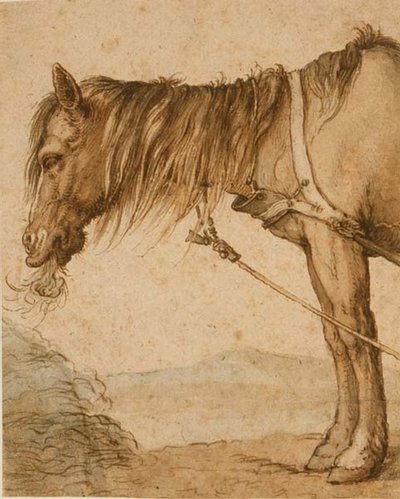 A Horse Eating Hay by Abraham Bloemaert