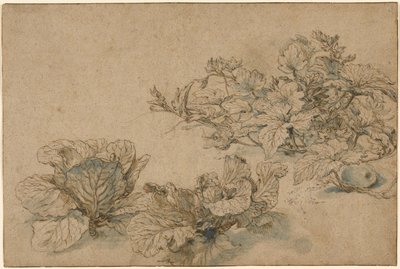 Studies of a Marrow Plant and Cabbages by Abraham Bloemaert