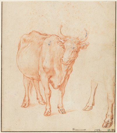 Studies of a Cow by Abraham Bloemaert