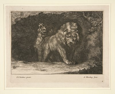 Lions. From the series by Abraham Blooteling
