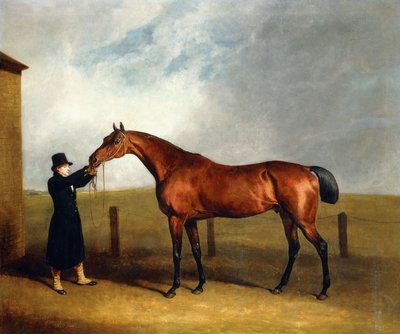 Colonel Udny