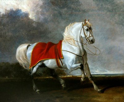 Saddled grey charger frightened by a storm, called 