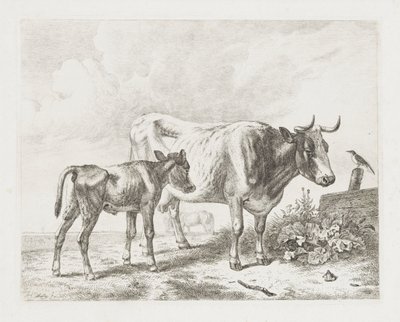 Cow and Calf in a Meadow by Abraham Hendrik Winter